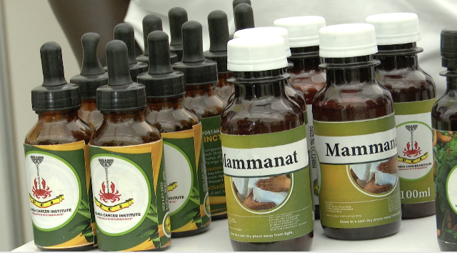 Musenero: herbal diabetes remedy to undergo clinical trials