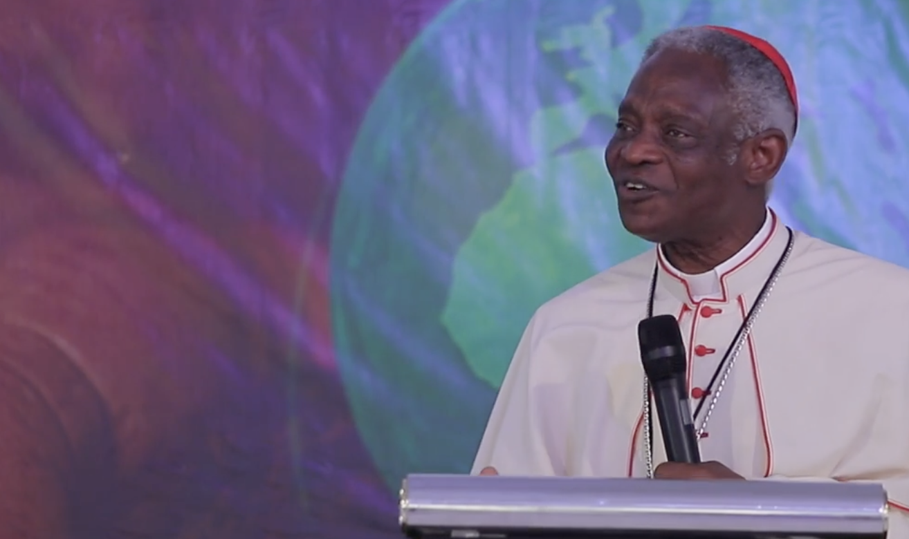 Cardinal Turkson urges global faithful to protect Earth as sacred gift