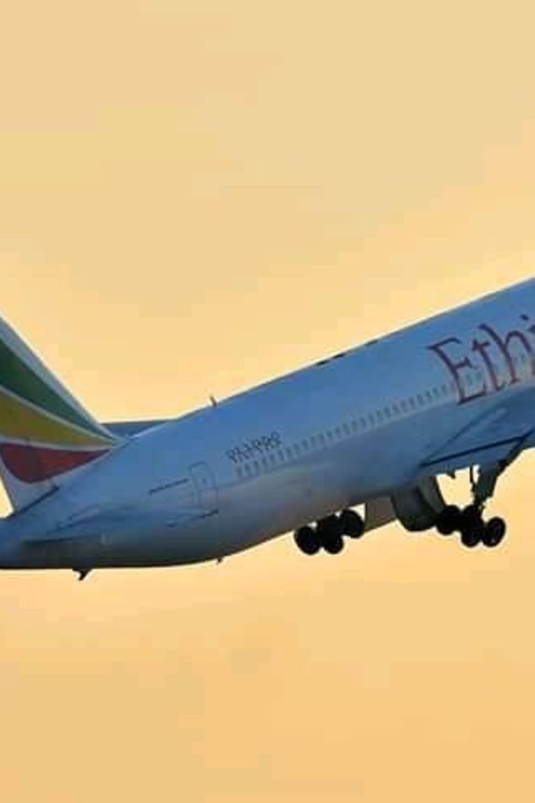 Ethiopian Airlines bans flights to 30 countries over ...